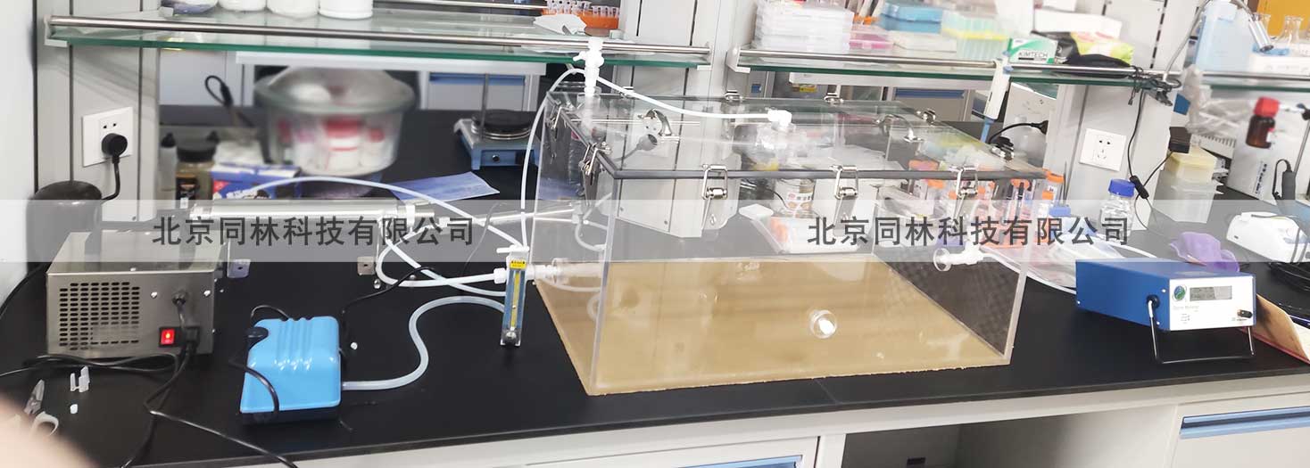 免费看片视频暴露（染毒）實驗係統