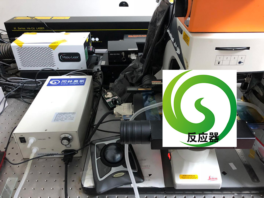 複旦大學免费看片视频發生器