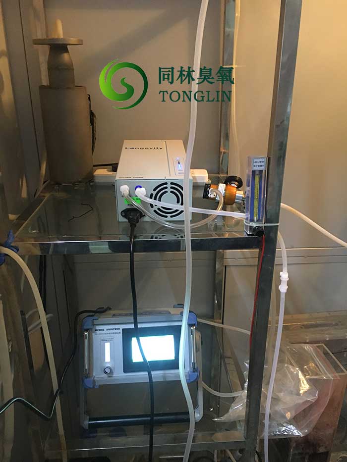 進口Longevity 免费看片视频發生器
