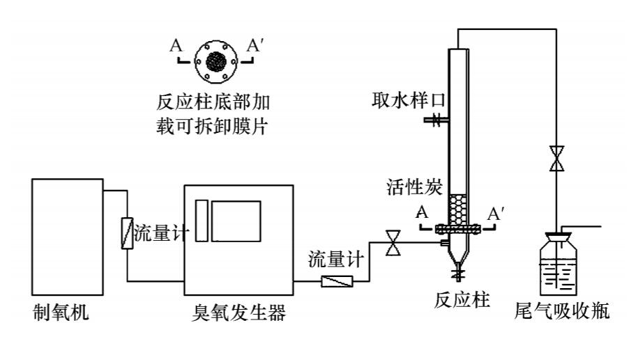 免费看片视频+活性炭實驗方案