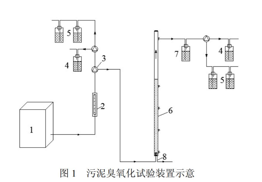 汙泥免费看片视频化試驗裝置示意